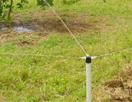 In use spray sprinkler.